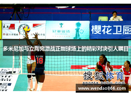 多米尼加与立陶宛激战正酣球场上的精彩对决引人瞩目